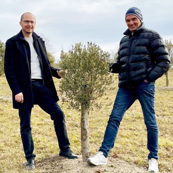 Richtig pflanzen lassen